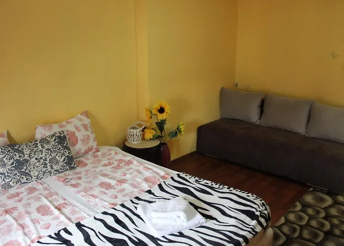 Vitoshka Biggest Apartment