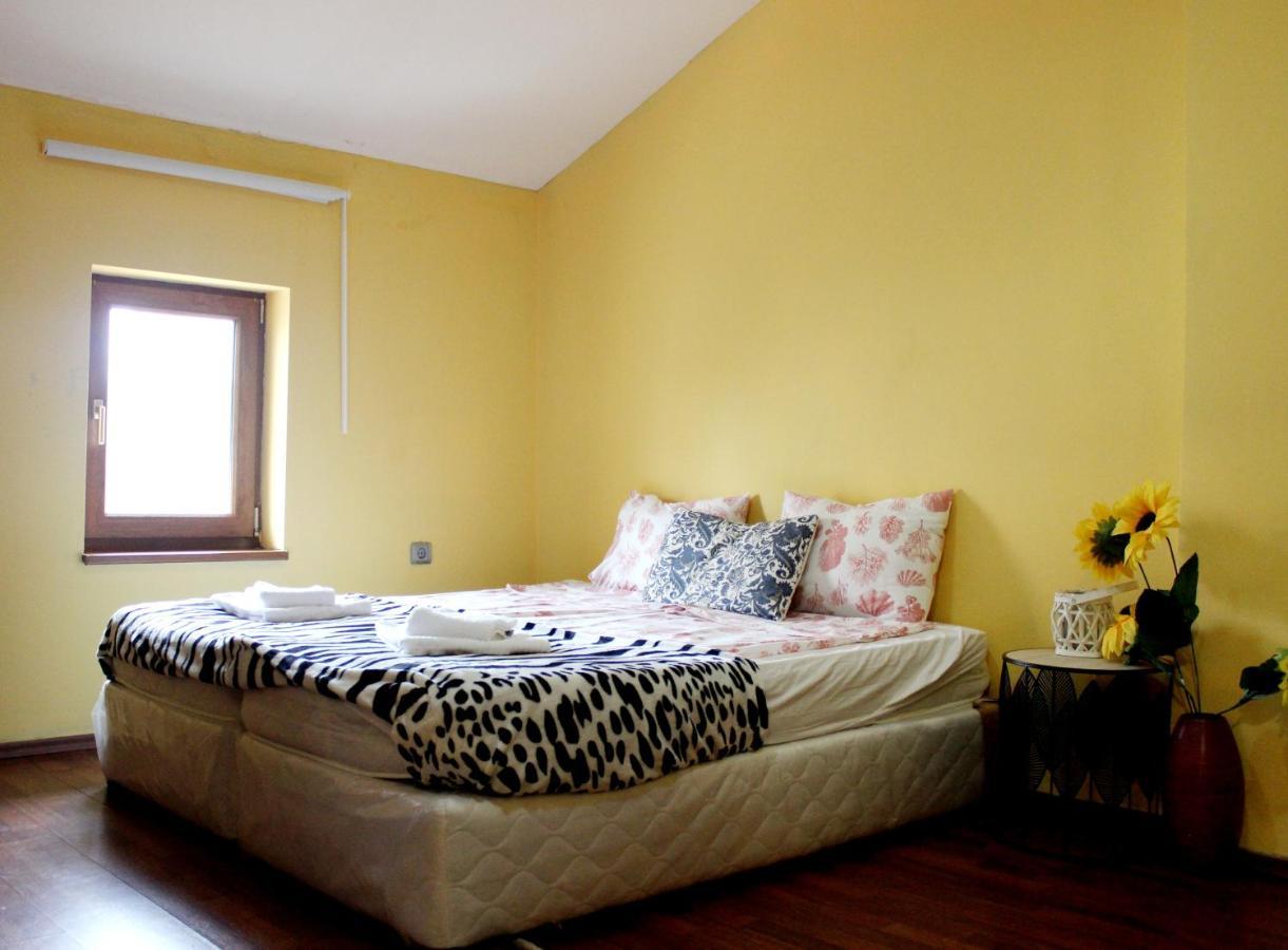 Vitoshka Biggest Apartment