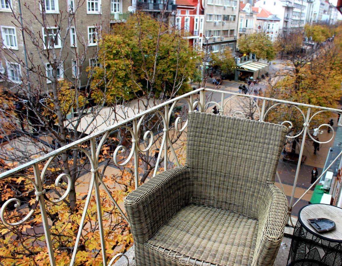Vitoshka Biggest Apartment