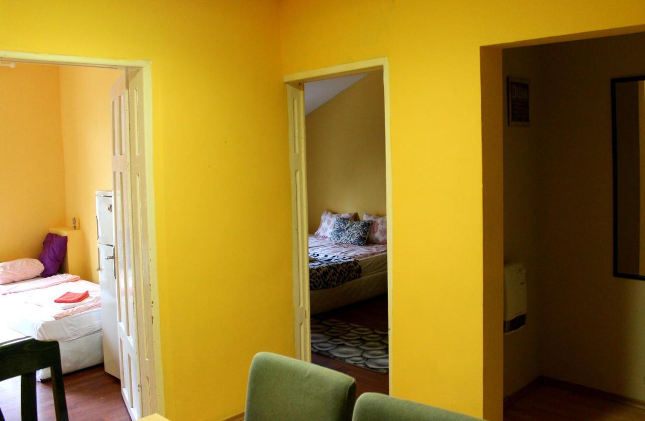 Vitoshka Biggest Apartment *