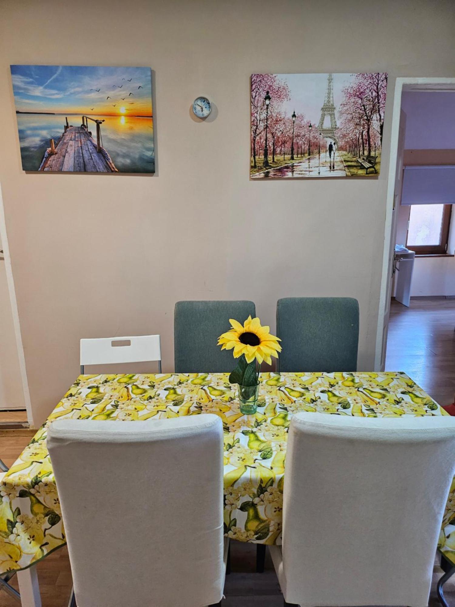 Vitoshka Biggest Apartment